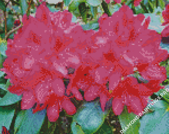 Fuchsia Rhododendron Diamond Painting