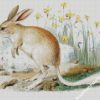 Greater Bilby Art Diamond Painting