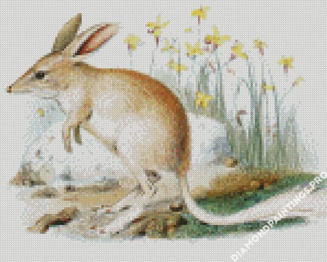 Greater Bilby Art Diamond Painting