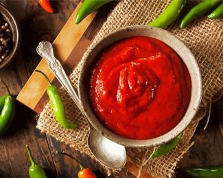 Hot Spicy ketchup In Bowl Diamond Painting