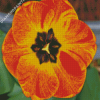 Orange Tulip Diamond Painting