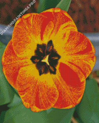 Orange Tulip Diamond Painting