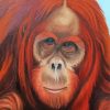 Orangutans Diamond Painting