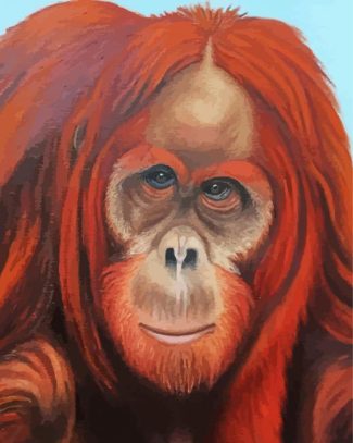Orangutans Diamond Painting