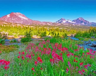 Oregon Mountains Landscape Diamond Painting
