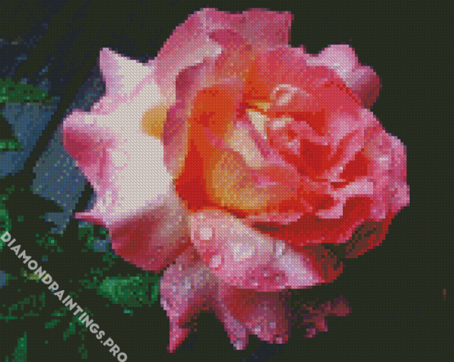 Peace Roses With Rain Drops Diamond Painting