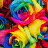 Rainbow Colorful Roses Diamond Painting