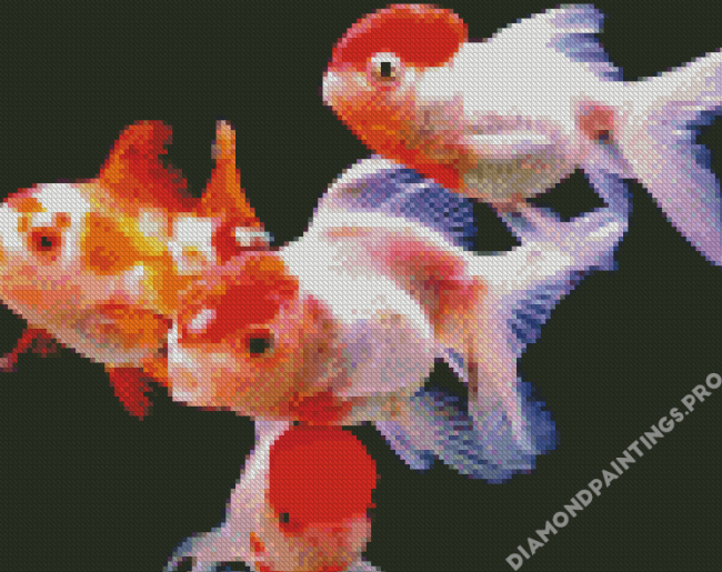 Red Cap Oranda Goldfish Diamond Painting