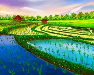 Rice Field Diamond Painting