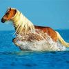 Running Horse In Water Diamond Painting