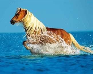 Running Horse In Water Diamond Painting