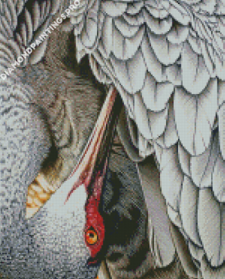 Sandhill Crane Bird Diamond Painting