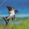 Swallow Bird On Stick Diamond Painting