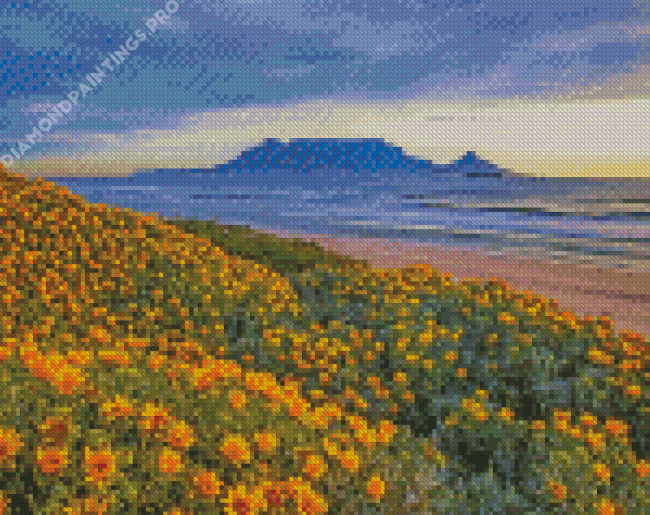 Table Mountain National Park Diamond Painting