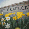 University Of Kentucky Building Diamond Painting