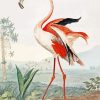 Vintage Flamingo Diamond Painting