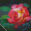 Yellow And Pink Rose Flower Diamond Painting