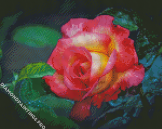 Yellow And Pink Rose Flower Diamond Painting