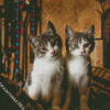 Two kitties Diamond Painting