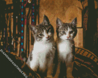 Two kitties Diamond Painting
