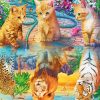 Cats Water Reflection Diamond Painting