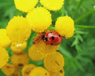 Ant And Ladybug On Flower Diamond Painting