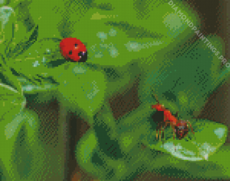 Ant And Ladybug On Leaves Diamond Painting