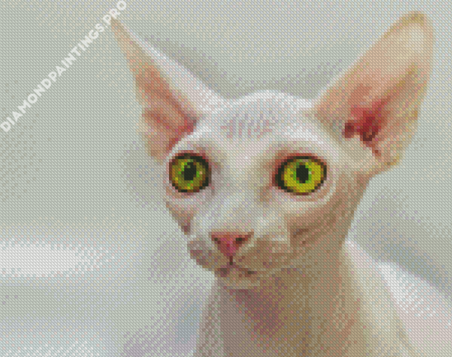 Hairless Cat Diamond Painting