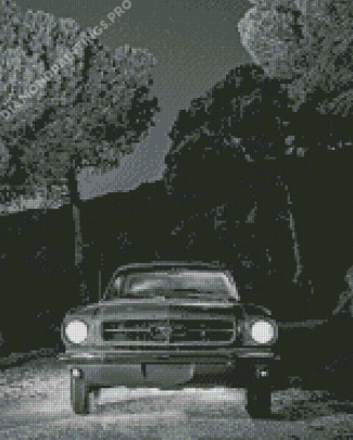 Black And White 64 Ford Mustang Diamond Painting