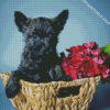 Black Cairn Terrier With Flowers Diamond Painting