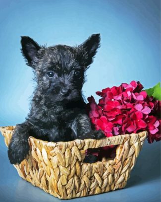 Black Cairn Terrier With Flowers Diamond Painting