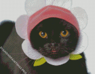 Black Cat With Hat Diamond Painting