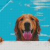 Brown Dog In Pool Diamond Painting