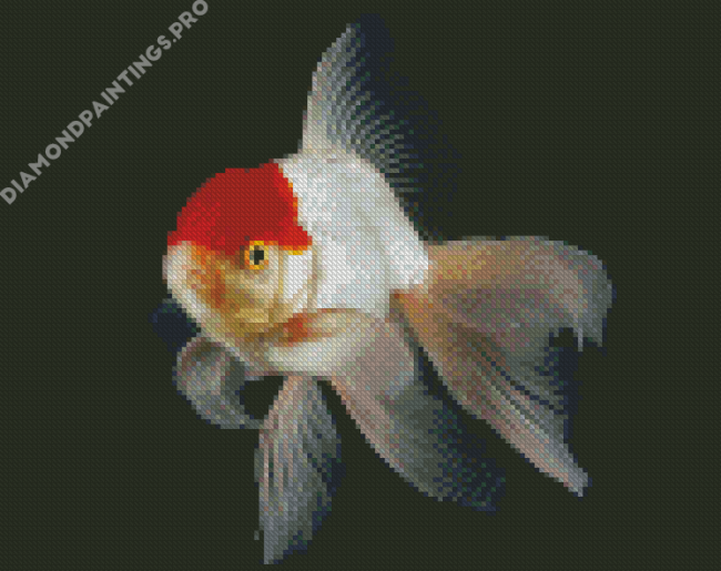 Cap White Fish Diamond Painting