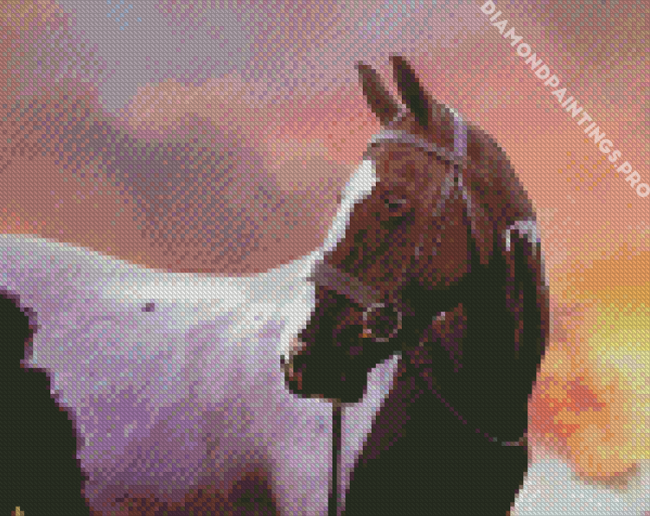 Cob Horse Sunset Diamond Painting