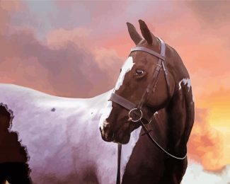 Cob Horse Sunset Diamond Painting