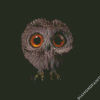 Baby Owl Diamond Painting