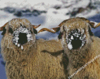 Blacknose Sheep In Snow Diamond Painting