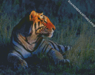 Tiger Sitting In The Night Diamond Painting