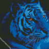 Tiger With Glowing Eyes In The Night Diamond Painting