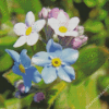 Forget Me Not Flowers Diamond Painting