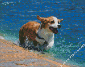 Happy Dog In Pool Diamond Painting
