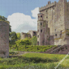 Irish Castles Blarney Diamond Painting