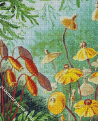 Naturalis Originals Haircap Moss By Ernst Haeckel Diamond Painting