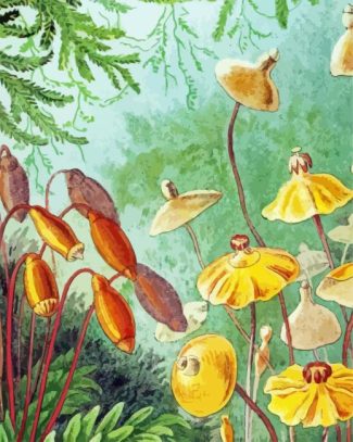 Naturalis Originals Haircap Moss By Ernst Haeckel Diamond Painting