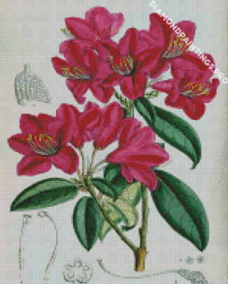 Pink Botanical Plants Diamond Painting