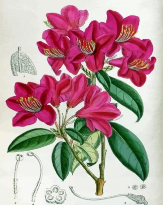 Pink Botanical Plants Diamond Painting