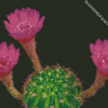 Pink Flowers Blooming Cactus Diamond Painting