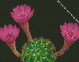 Pink Flowers Blooming Cactus Diamond Painting