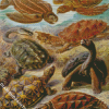 Turtles Animals Ernst Haeckel Diamond Painting